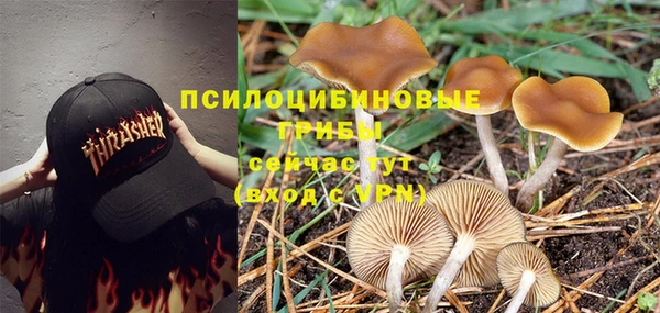 ALPHA-PVP Елабуга
