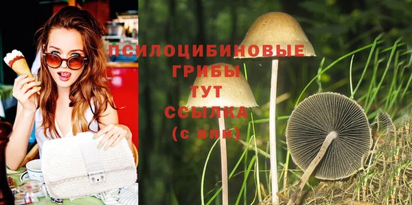 COCAINE Ельня