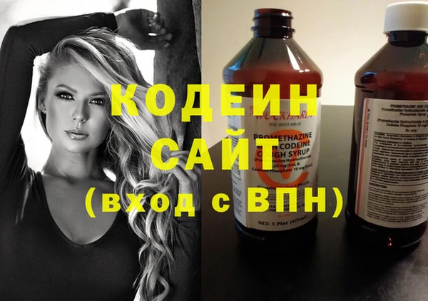 дурь Елизово