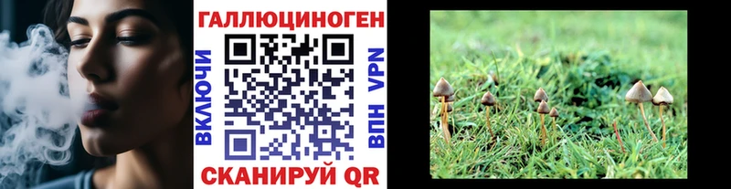 где можно купить   Суровикино  Галлюциногенные грибы MAGIC MUSHROOMS 