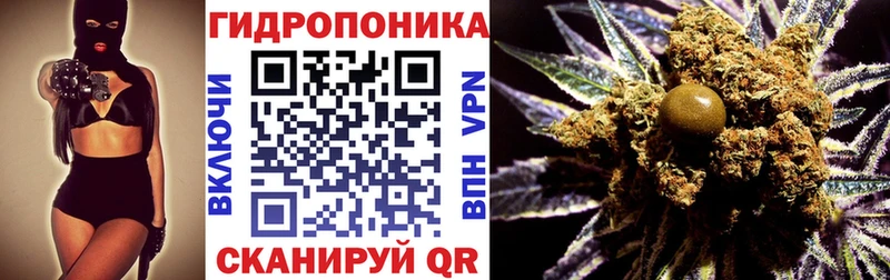 Шишки марихуана Bruce Banner  Суровикино 